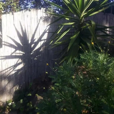 Holiday home Loc Cap Phoebus, Atypique, Au Calme Dans La Pinede *