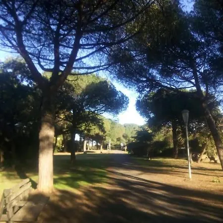 Holiday home Loc Cap Phoebus, Atypique, Au Calme Dans La Pinede *