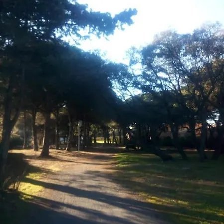 Loc Cap Phoebus, Atypique, Au Calme Dans La Pinede * Агд
