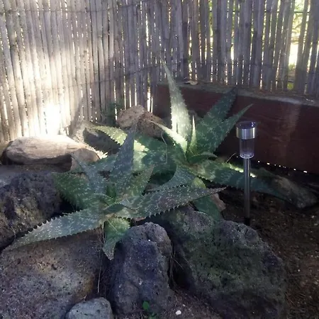 Hébergement de vacances Loc Cap Phoebus, Atypique, Au Calme Dans La Pinède Agde