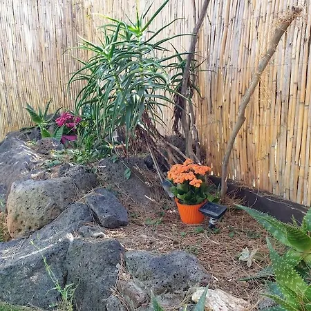 Loc Cap Phoebus, Atypique, Au Calme Dans La Pinède Hébergement de vacances *