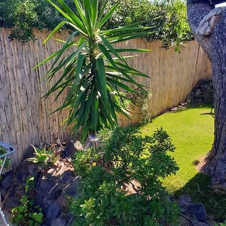 Loc Cap Phoebus, Atypique, Au Calme Dans La Pinède * Agde