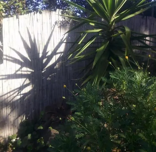 Holiday home Loc Cap Phoebus, Atypique, Au Calme Dans La Pinede *