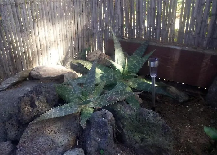 Tatil Evi Loc Cap Phoebus, Atypique, Au Calme Dans La Pinede Agde