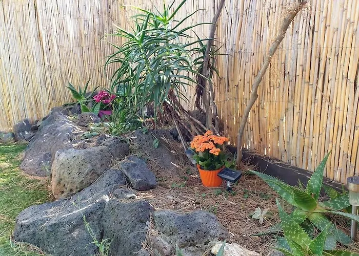 Loc Cap Phoebus, Atypique, Au Calme Dans La Pinede Holiday home *